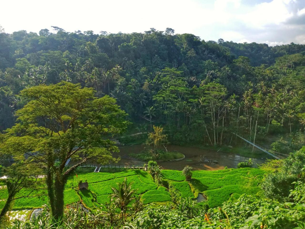 Puri Bunga Resort Ubud  Exterior photo